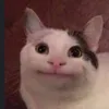 rinrinnette