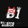 b1_amad3