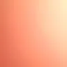 tothegnooch