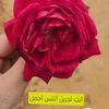 soooma.26