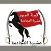 tamer.abofeysal