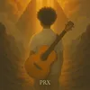 prx_prx