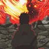user127957380648