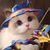 this_sanss