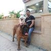 user301753306202