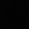aaesl03