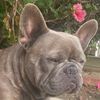 zoe_loves_winston