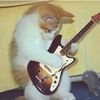 l_luv_cats4life