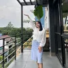 anghe_100401