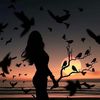 paradisefoundme