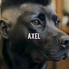 wwwaxel2