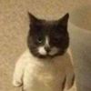 ldotpng