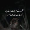 aniee497