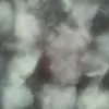 defbykrot