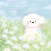 isywh.mtcute010