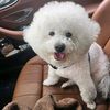 nandini_l7