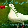 lilifofa31