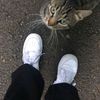 _arwa_vv_