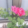 akddrrt
