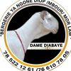 user4406364471360