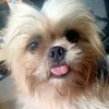 itsme_skippy