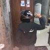 dinolagiposenggg