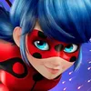 mlladybug_