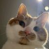 pitaaaaaaaaaaaaaaaaaaaa8