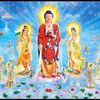 linhtruong10000