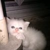user573685945eny