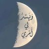 user356976850safa