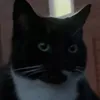 _18921892.0
