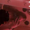 hiwatermelon12