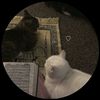 amira_sayed00