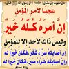 mustafashata2