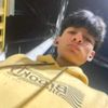 lmx_eme