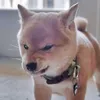 edomalo