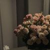 hajer_ma6