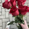 zahra098013