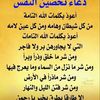fofo.12356