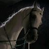 essamnoman1