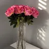 mziry_20
