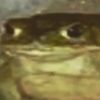 ur.stepdads.wife
