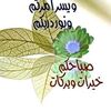 rno_904