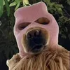phamngocdiemmeomeow
