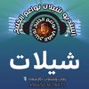 استديو تنفيذ شيلات | زفات عروس