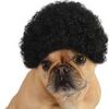 mrdogmanafro