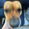 hamish_43