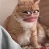igniee1