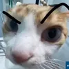 mscielo_